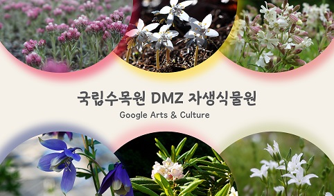 DMZ 자생식물원 Google Arts & Culture