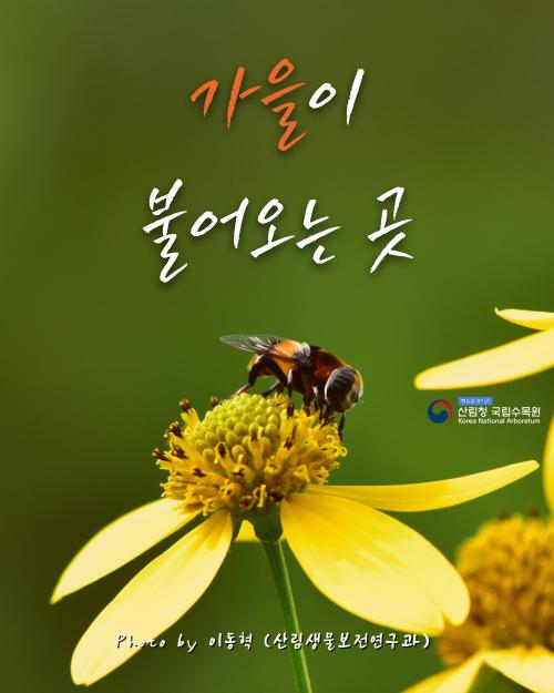 가을이 불어보는 곳 Autumn Breeze in KNA