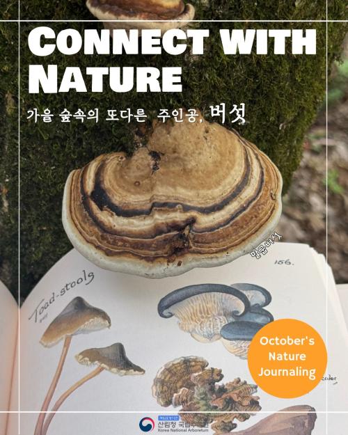 가을의 광릉 숲속의 또 다른 주인공