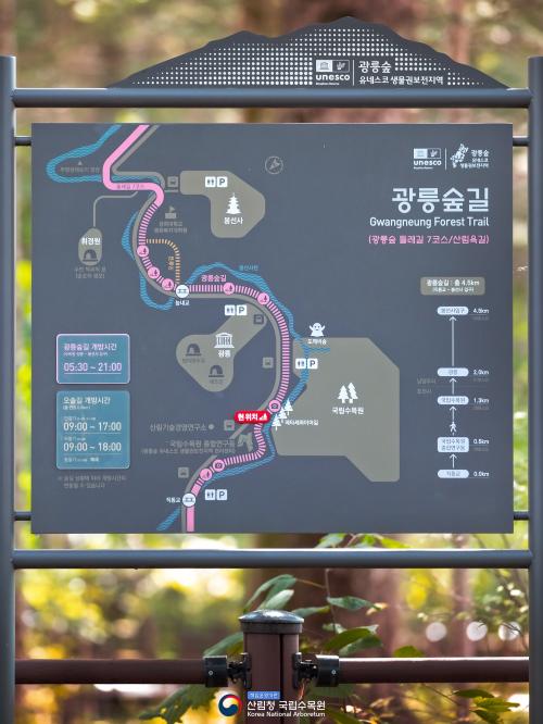 완연한 가을! 광릉숲길 따라 국립수목원으로 힐링 산책