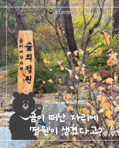 곰이 떠난 자리, 숲의 정원