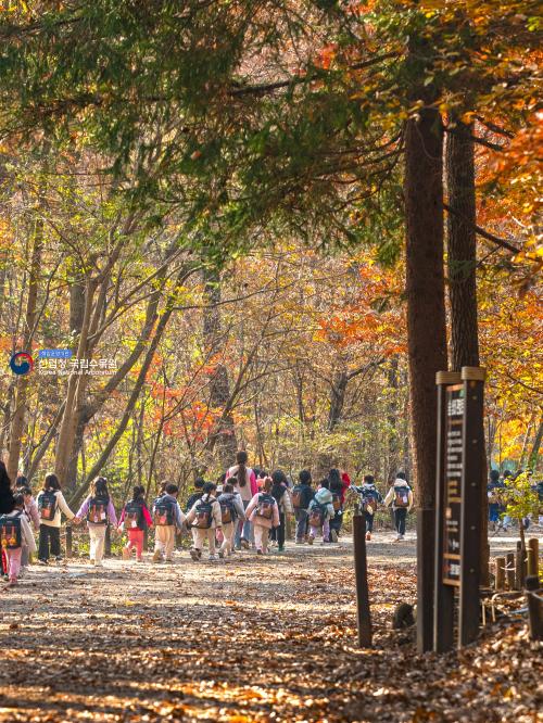 육림호 가을로 물들다