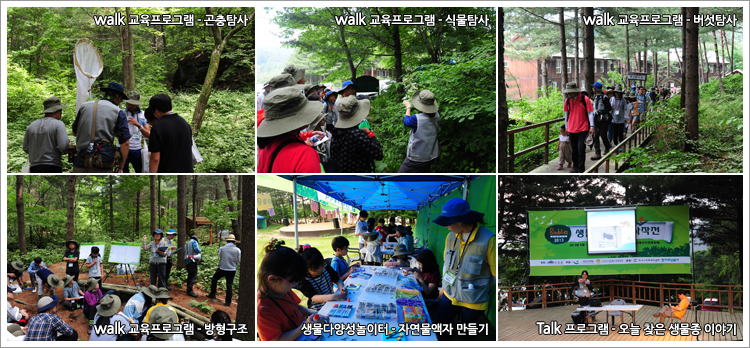 국립수목원 「Bioblitz Korea 2014」개최 이미지1