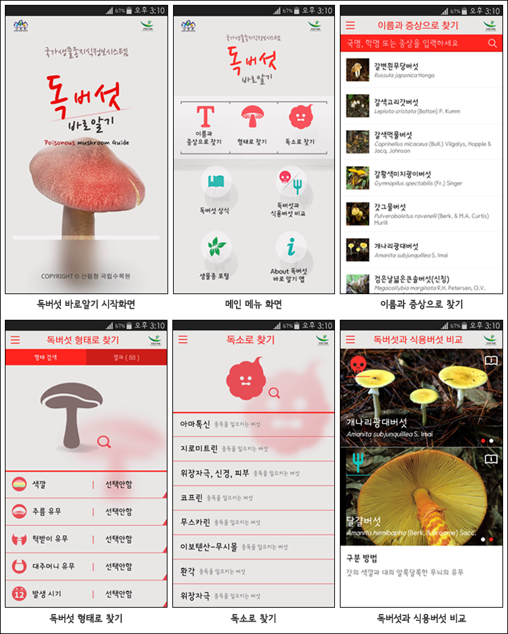 “독버섯 중독 주의보” 와 함께 “독버섯 바로알기 앱” 출시 이미지1