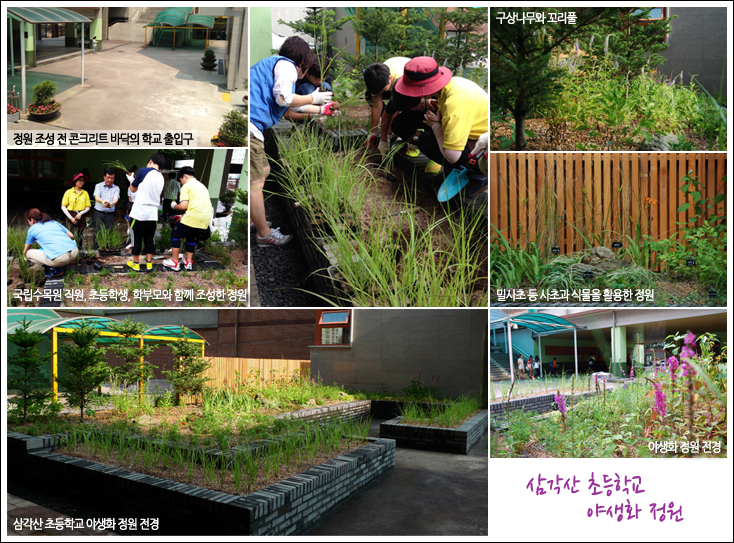 녹지부족 초등학교에 야생화 정원 시범 조성 이미지1