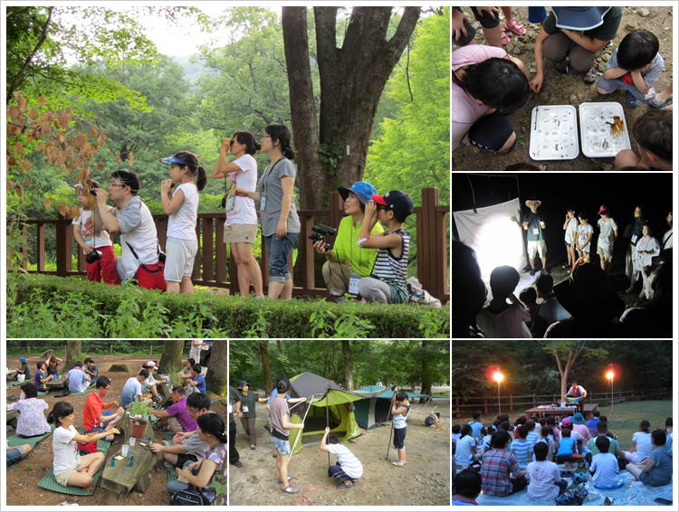 온가족이 함께하는「여름 숲 캠프」운영 이미지1