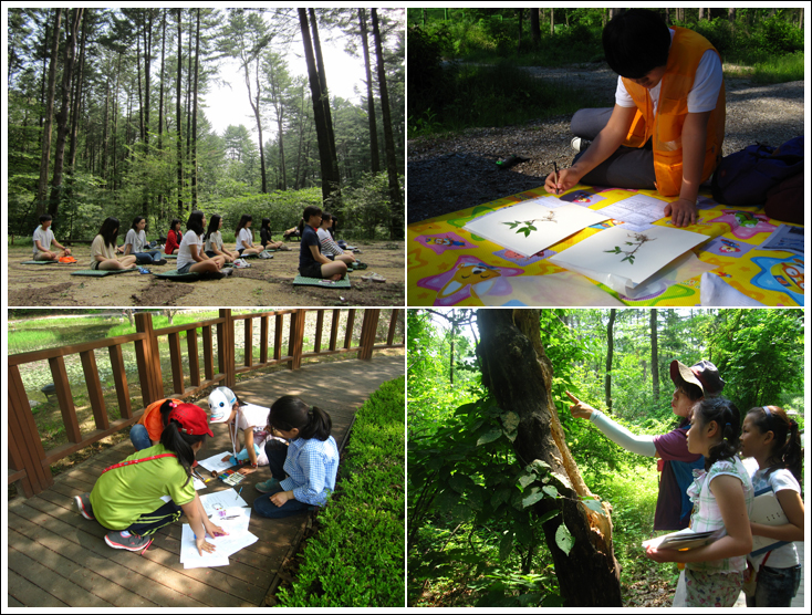국립수목원, 초·중·고등학교 산림교육프로그램 참가학교 접수 실시 이미지1