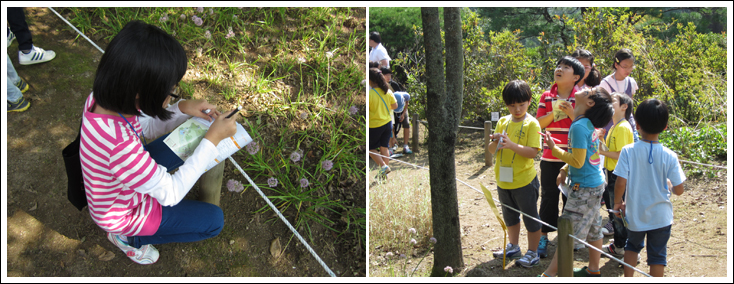 「2014 우리 산림생물 바로알기 탐험대」개최 이미지1