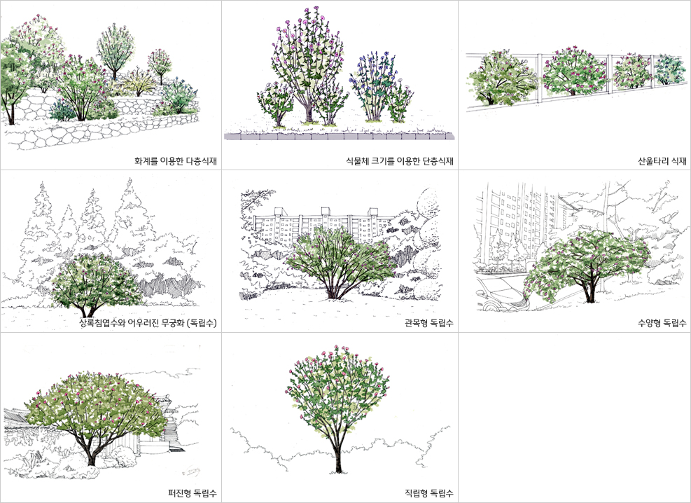 국립수목원, 정원수로서의 가치를 알리는 무궁화 특별전시회 개최 이미지1