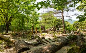 숲과 나무와 친구가 되는 장소, ‘광릉숲길 어린이정원’ 정식 개장