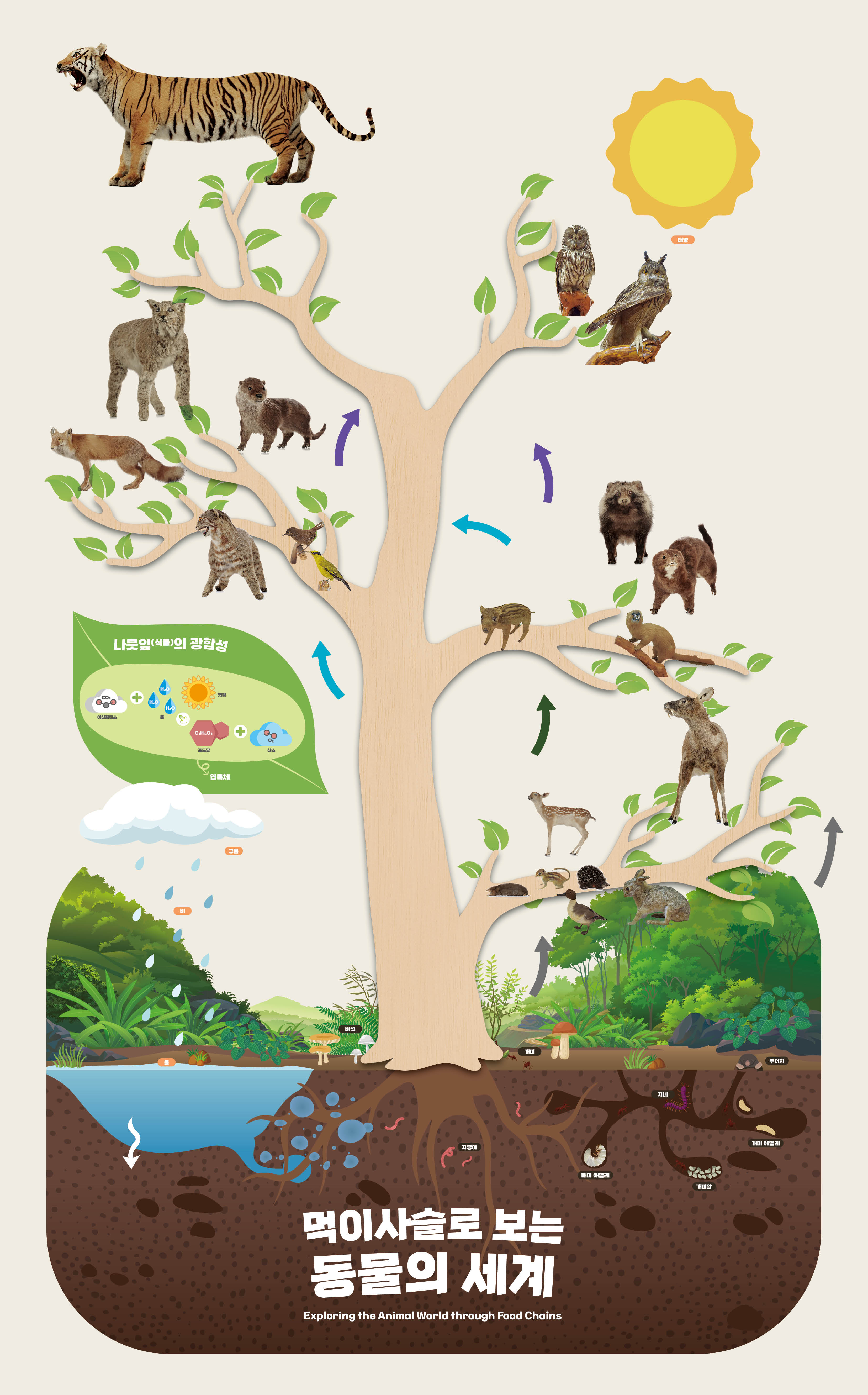 국립수목원, 「먹이사슬로 보는 동물의 세계」 특별전시회 개최 이미지1