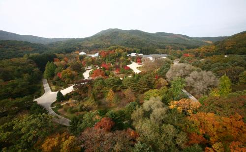 국립수목원, 국군의 날 군인 동반 일행 무료입장