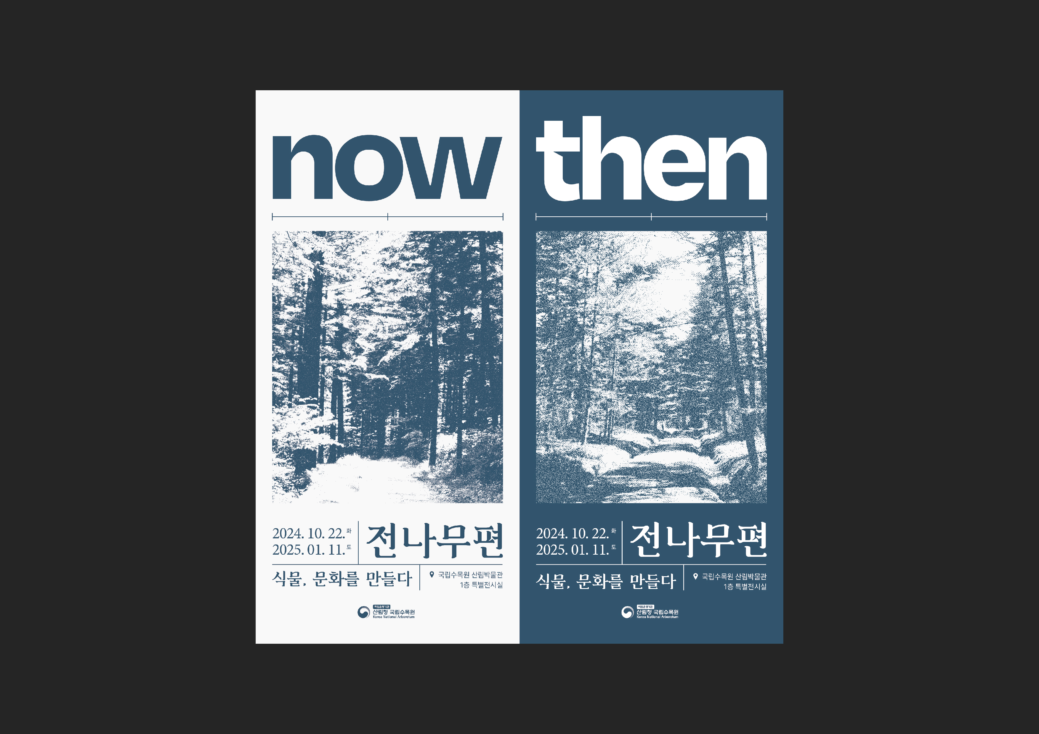 국립수목원, 「식물, 문화를 만들다(전나무편)」 특별전시 개최 이미지1
