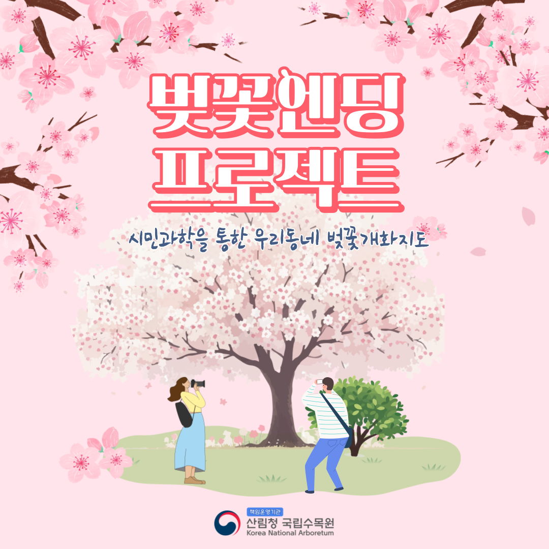 함께 만드는 우리동네 벚나무 개화 지도 이미지1