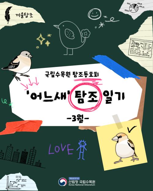 어느새 탐조이야기_3월
