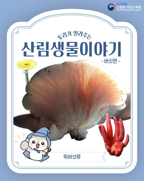 산림생물 이야기 - 독버섯류