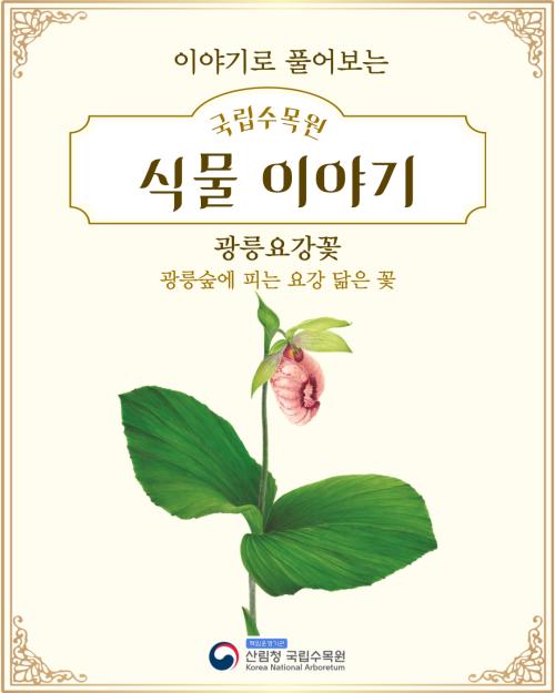 이야기로 풀어보는 국립수목원 식물 이야기_ 광릉요강꽃