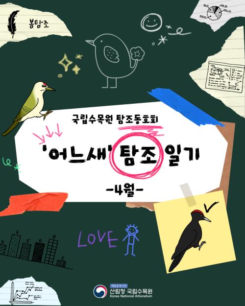 어느새 탐조이야기_ 4월